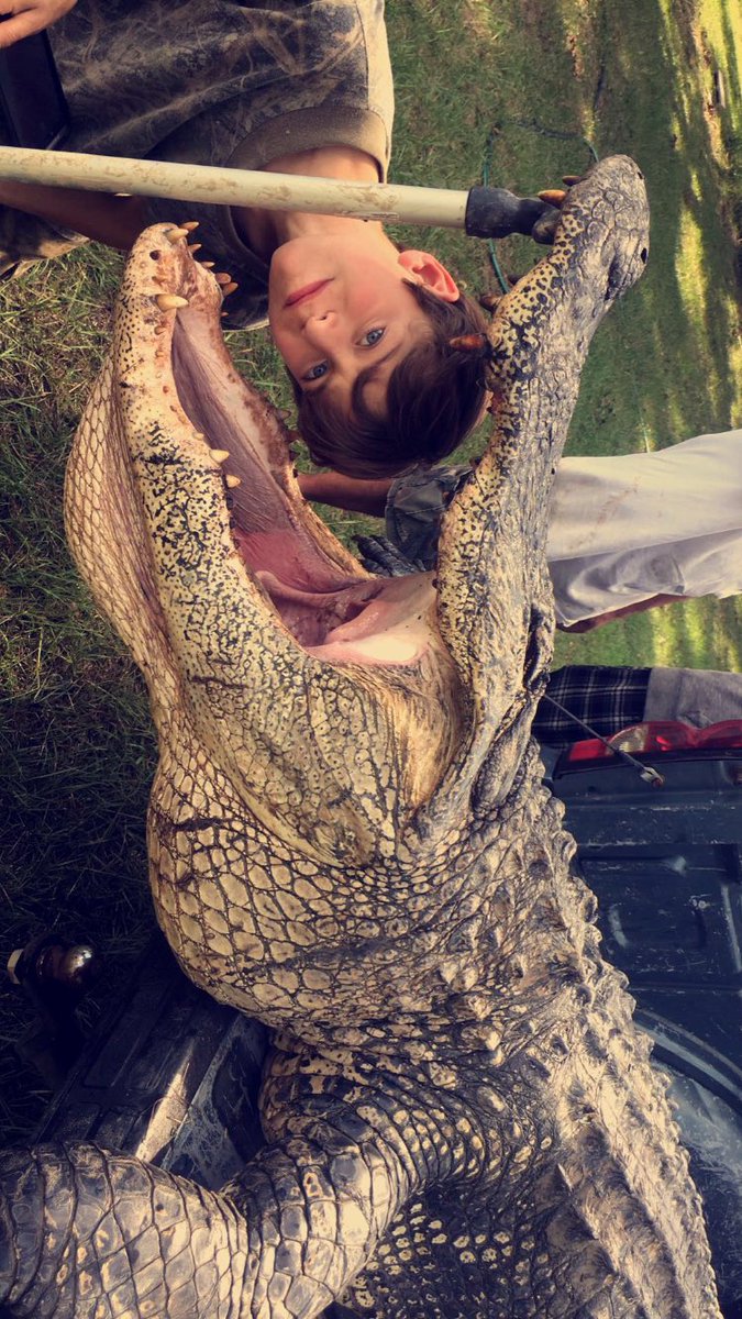 TaylorC_1's tweet photo. Just in case anyone missed it on my SC, my uncle killed a hugeee gator 😂🐊 564 lbs&amp;just a few in. shy of 12 ft 😱 #yesitistagged #yesitslegal https://t.co/GGYTOdh7v1