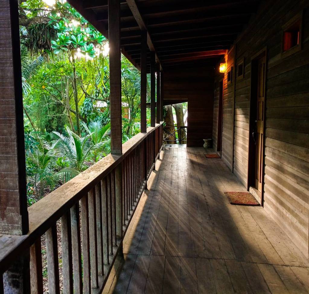 markgellineau's tweet photo. Walking toward my room @mtplaisirhotel feeling like I'm in a #treehouse
#gellineau #mtpla… https://t.co/80eXwYJ6SH https://t.co/2EchZs3Kdo