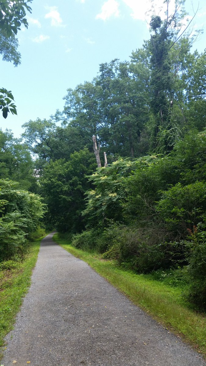 JordanGoGreen1's tweet photo. Miss summer already. Nature where everything is beautiful no make up no do over no blow drys just sun leaves and trees. https://t.co/gQgJDYxJkd