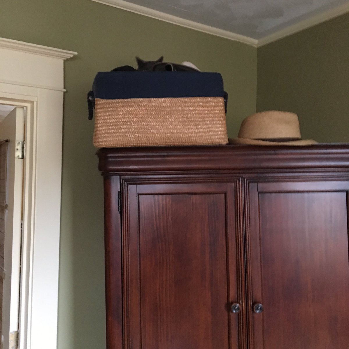 BaintonsMHatter's tweet photo. Where's Henry? #Annapolis #baintons #Henry #cutest https://t.co/qiVHOj30Wb
