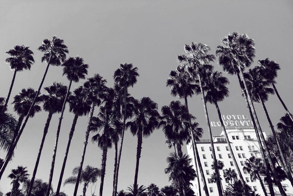 Teddy's place #buzolicphoto