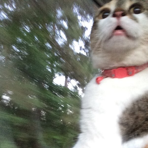 thomasdmirable's tweet photo. quand ma mère me dit qu'on va manger Mcdo https://t.co/MQl6gajTgf