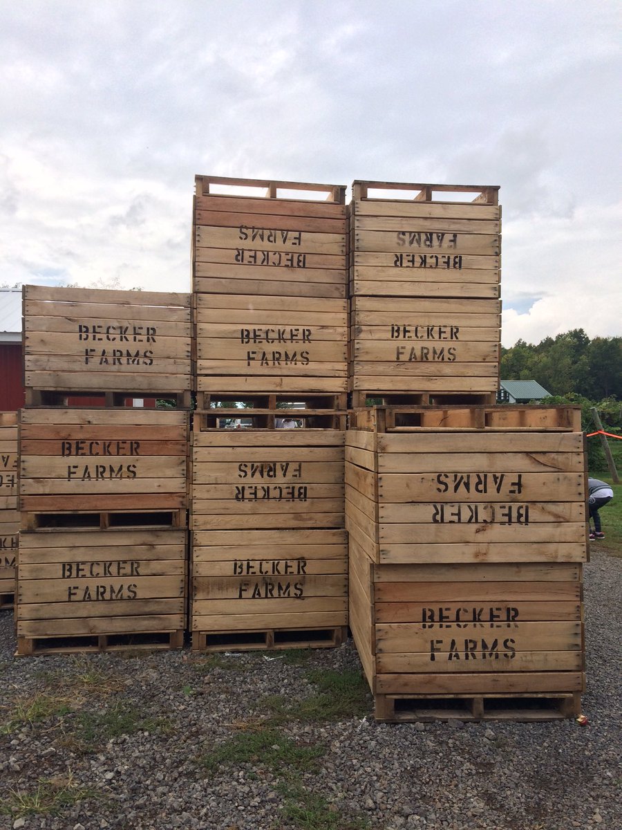 HTANiagara's tweet photo. Had a great time apple picking and getting to know everyone at Becker Farms! #longliveHTA https://t.co/gddUZbWi36