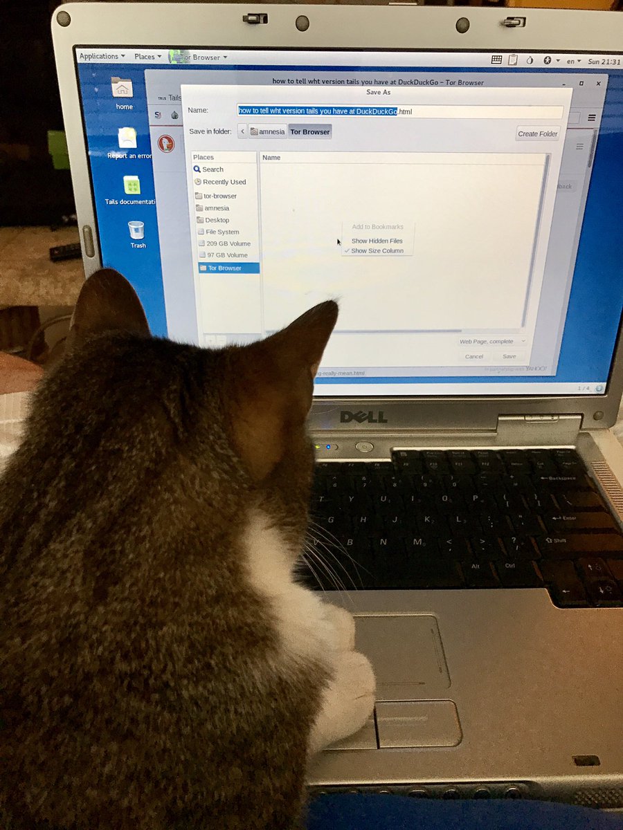 AskHoffa's tweet image. Why I have 2 laptops, #CodingCat is always jumping on using all the bandwidth. #MacCat on the Dell this time.