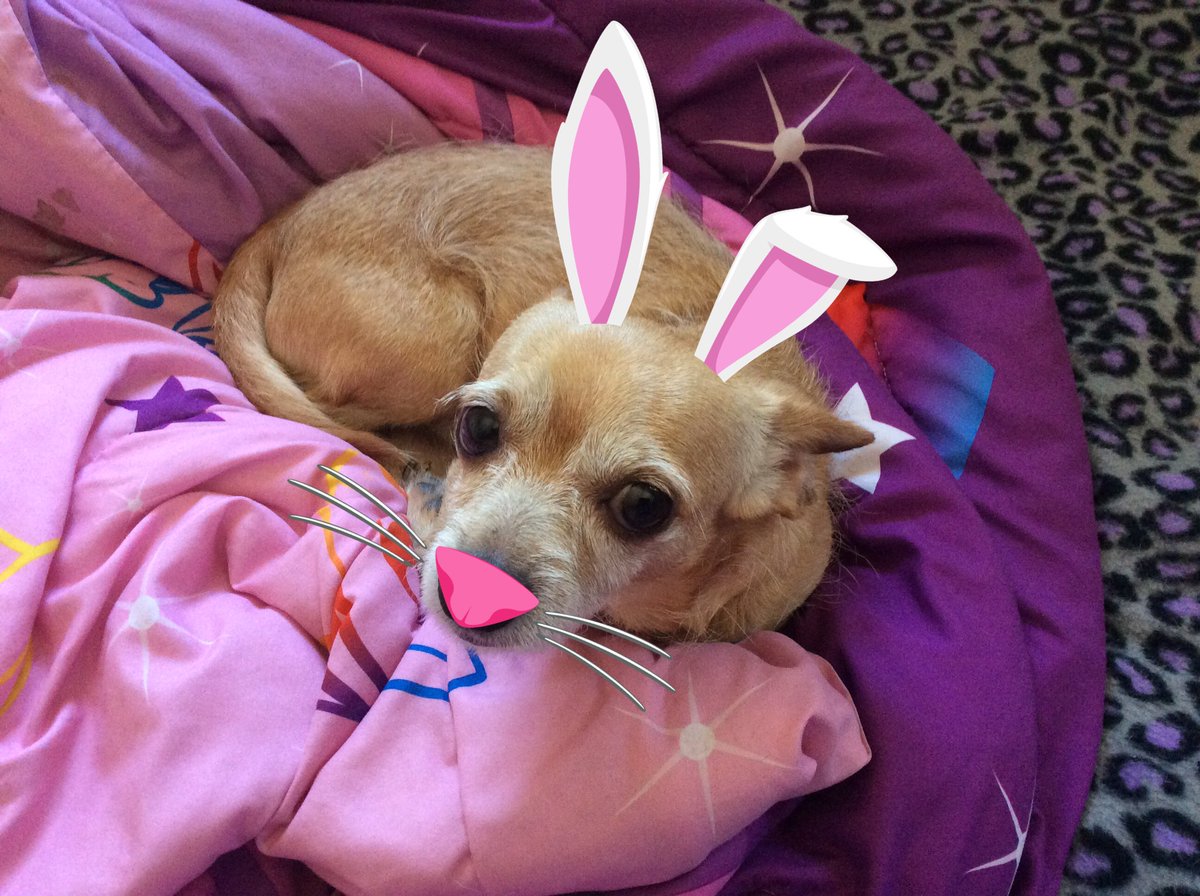 //Just something random I made. X3