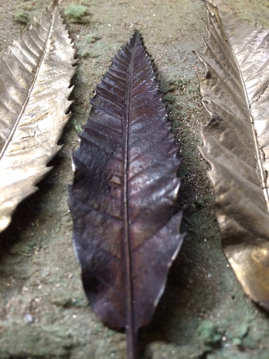 walkinglantern's tweet photo. #chestnut #leaf #detail #nextpiece #artwork #leafart #leafsculpture #bronzeleaf #nature #ispiredbynature #art #workinprogress #autumn #leaf https://t.co/DBMVhNsCRw