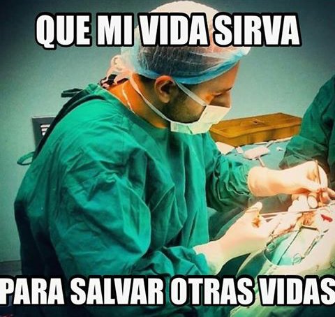 Alexia Montaño. tweet media