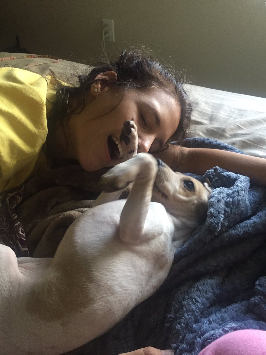 EllisonHannahh's tweet photo. a state of pure bliss , hello https://t.co/HSjubYqNzi