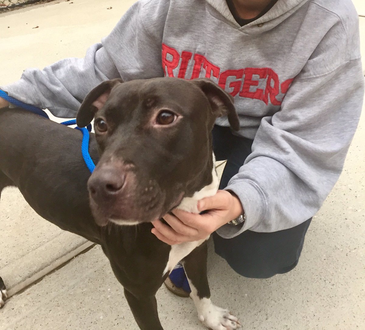 RashiMD's tweet image. FINALLY! The Saints win &amp;amp; we got to bring home this lil lady 🙌☺️