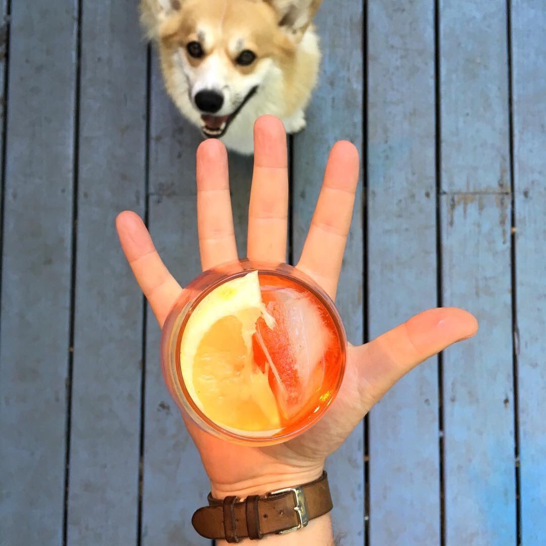 WhatImHolding's tweet photo. My Sunday is perfect. Who doesn't love aperol spritzs and corgis?!? KEEPING SUMMER ALIVE 🐕🍹 #whatimholding 🖐🏻 https://t.co/QEgG19JO8t