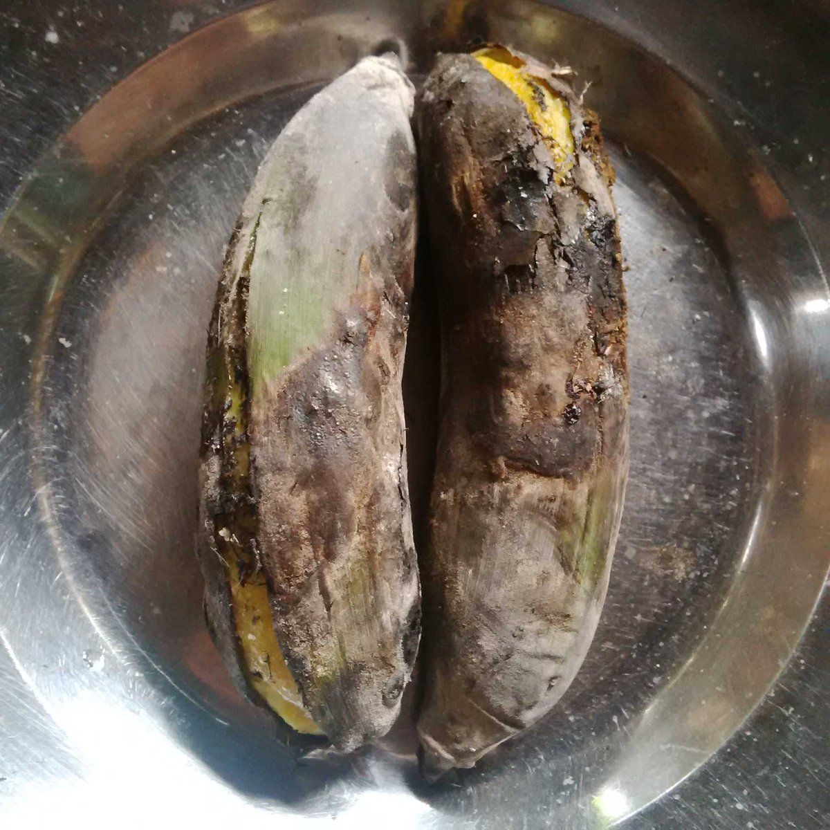 Mamam sasajet heula ahh beleum cau!