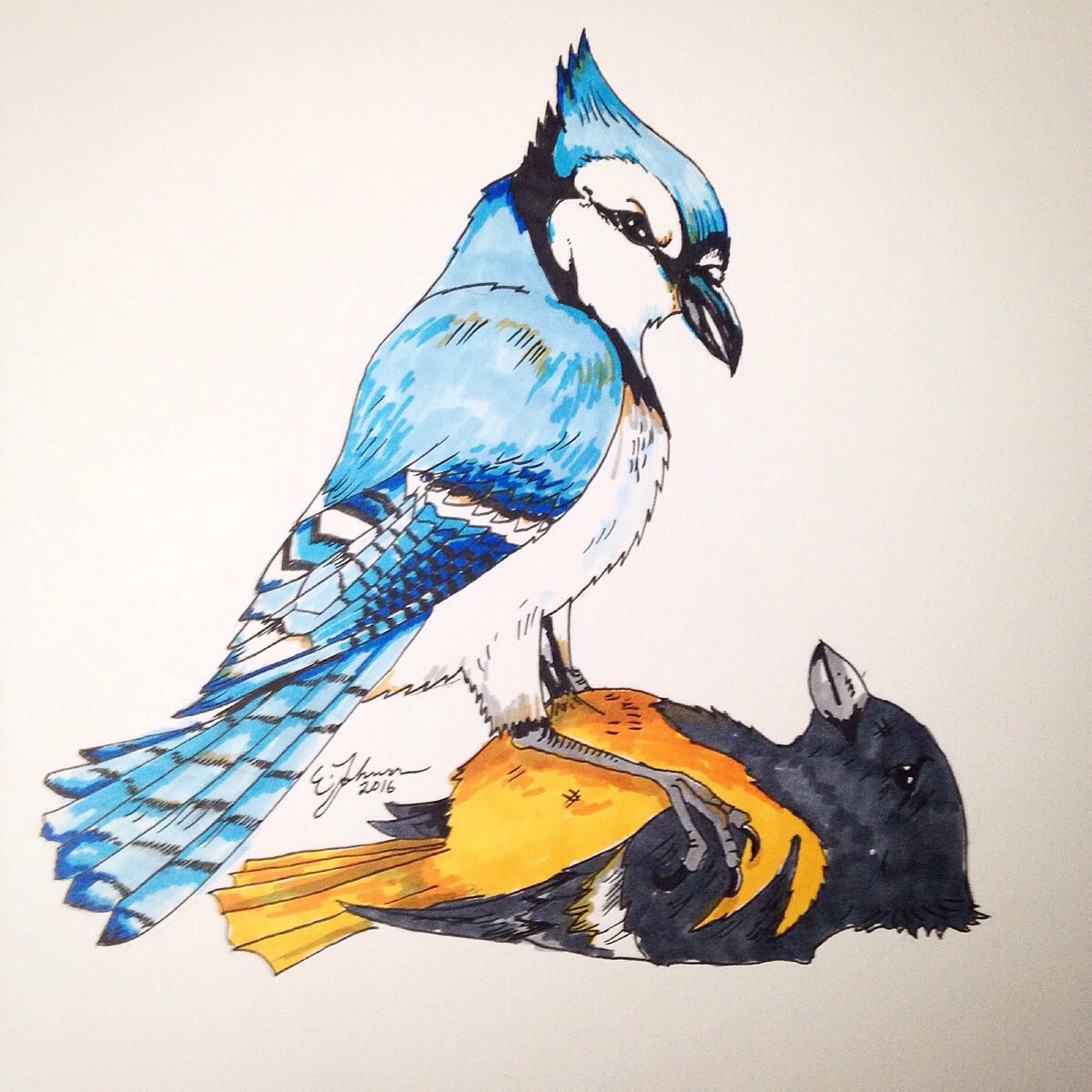 norm's tweet image. You ready, @Orioles? #OurMoment