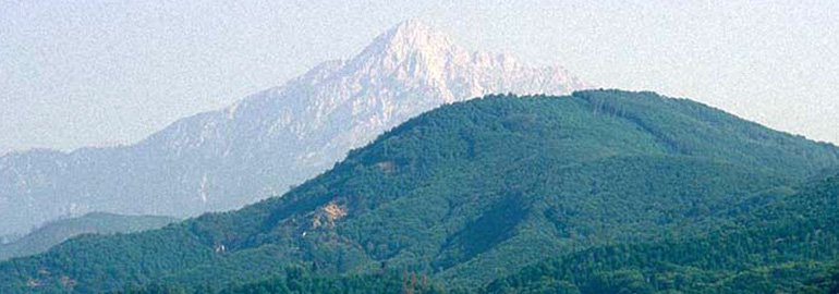 GreekRuNet's tweet image. Агион Орос - Гора Афон greekru.net/grecia/gora-af…