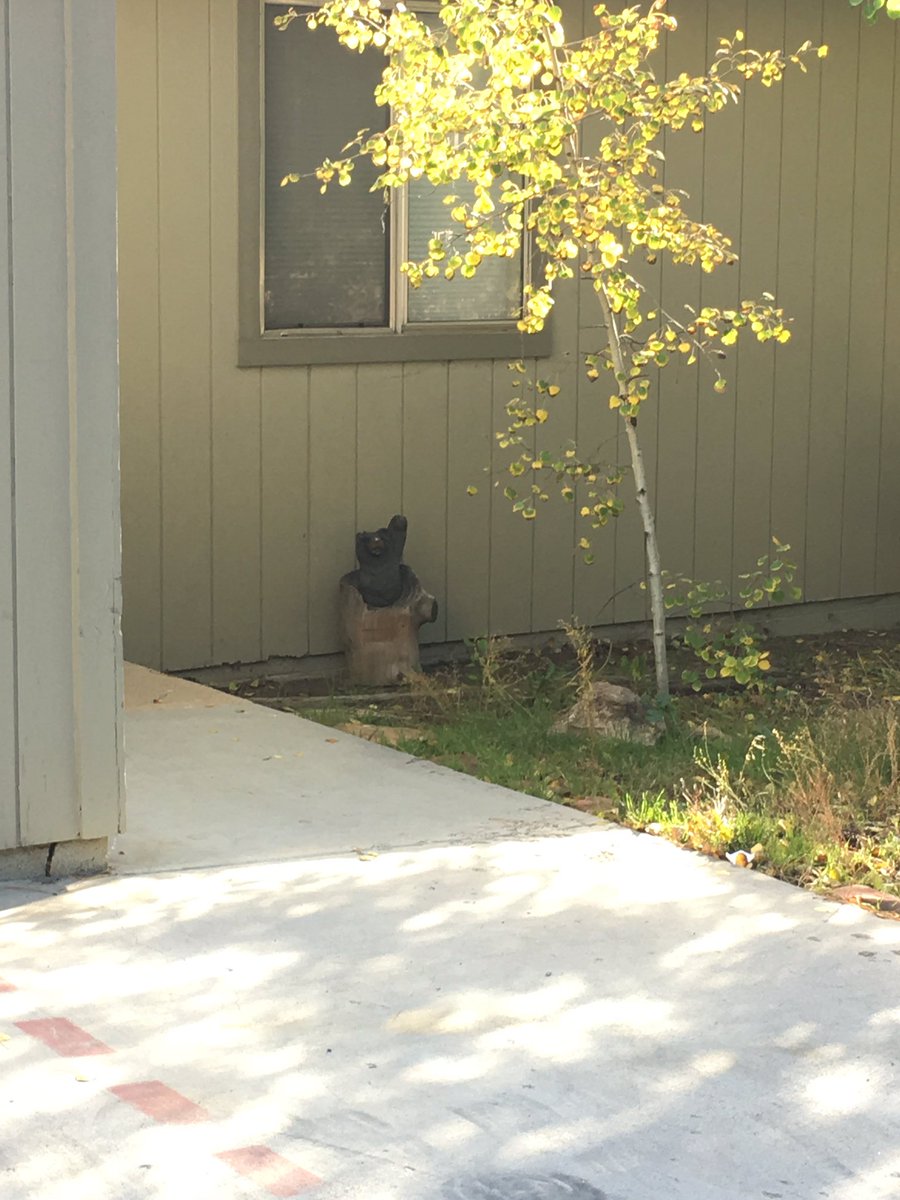GillPill77's tweet photo. #foundbear at our Airbnb this morning 🐻☀️ https://t.co/RldNFSNu7f