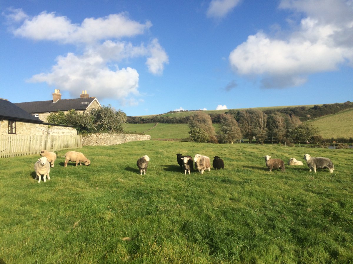 Winter coats coming along well despite the glorious autumn sunshine!