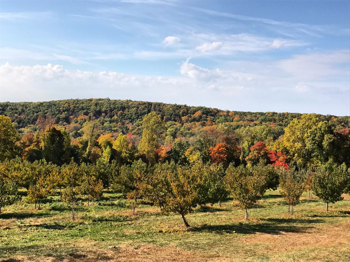 Design inspiration is all around us. #fall #autumn #design #decor #upstatenewyork