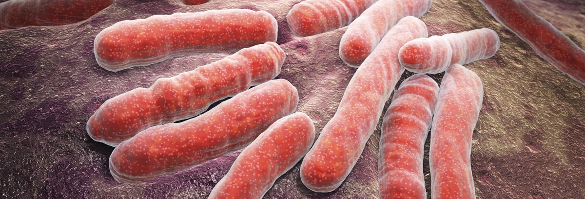 DrMerminCDC's tweet image. Persons infected w/ #Tuberculosis bacteria who are not sick may still need treatment. Why: go.usa.gov/xkprR #T