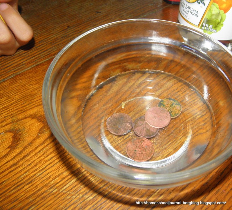MadSciUnionHud's tweet photo. 2-Minute Experiment: Fill a bowl ¼ full with vinegar. Add 1 teaspoon of salt. Add a penny (date 1982 and earlier). What do you think happens https://t.co/NAMnmSuj0K