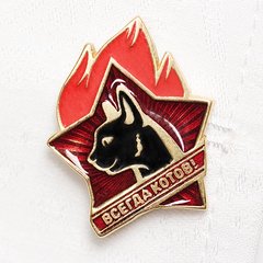 Darsay07's tweet image. Коты всех стран - соединяйтесь!!! :)))