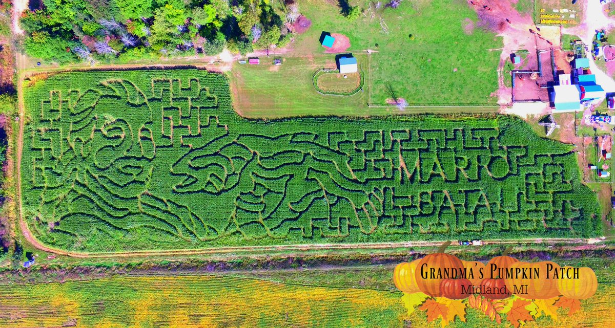 Gmapumpkinpatch's tweet image. We think @Mariobatali  looks great in corn rows! #cornmaze