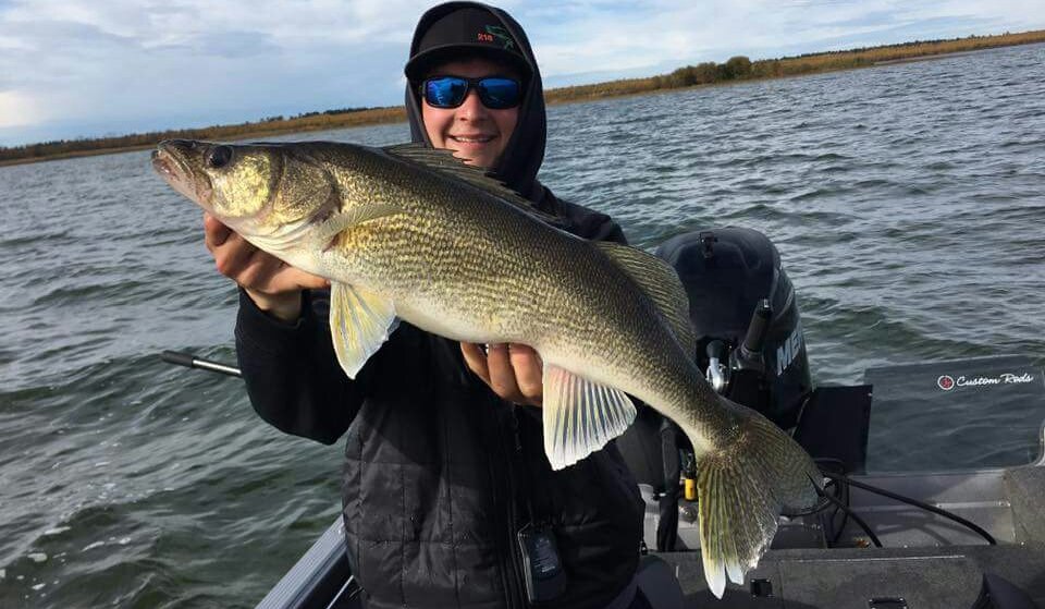 HangLooseOD's tweet photo. Fall walleyes pack the pounds on in prep for winter. This one needs to take a break from eating. FATTY! https://t.co/GE4Kc1VsF7