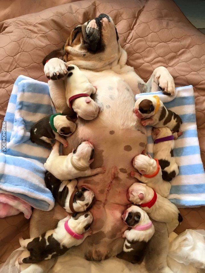 Fun1Stuff's tweet image. #cuteness #overload