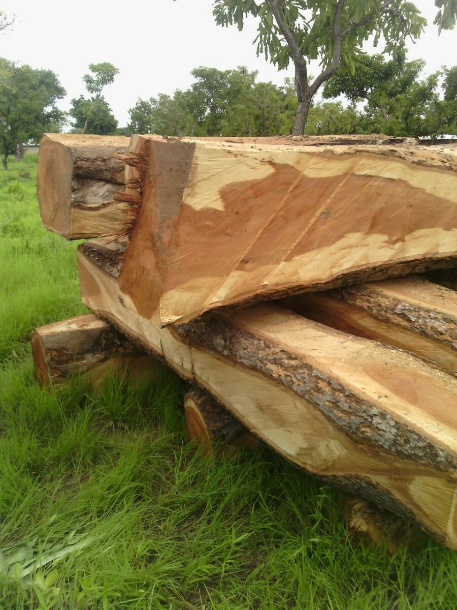 ConitheLimited's tweet image. 