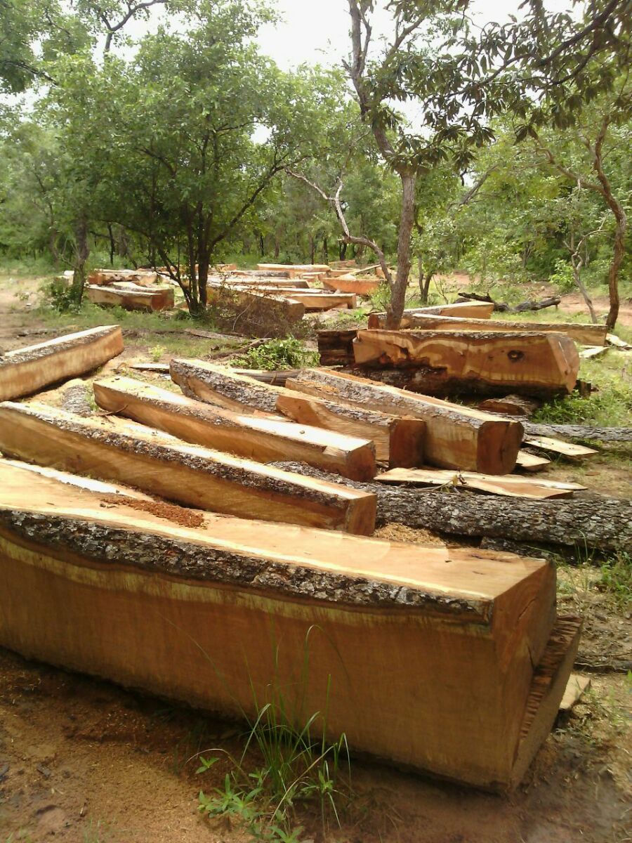 ConitheLimited's tweet image. 