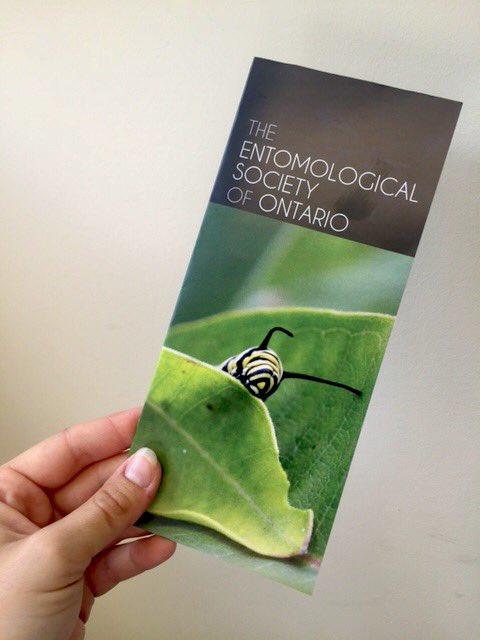 _FlourFly's tweet photo. In case anyone is curious about the @EntSocOnt pamphlet: #entsoc2016 https://t.co/IiWqrWyltl