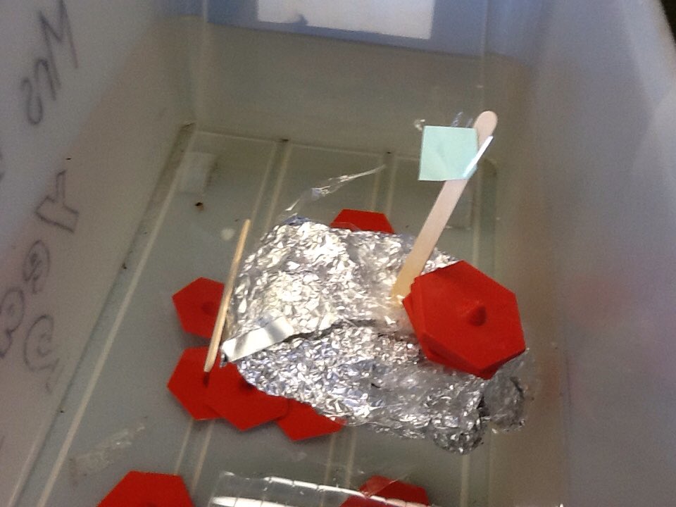 Thats_Mr_B's tweet photo. A fantastic science investigation this afternoon. The winning boat held 300g before it sank. #pfpsscience @Palacefieldhead @PFPSMrsW https://t.co/5Htph6pT0h