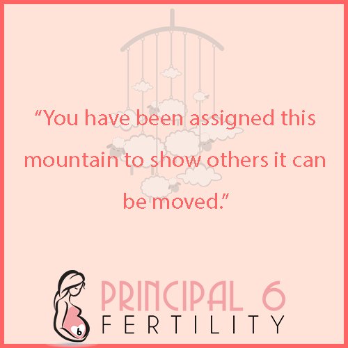 P6Fertility's tweet photo. #mondaymotivation #mommymotivation to fuel your #MondayMorning https://t.co/6N4MfsRJ28