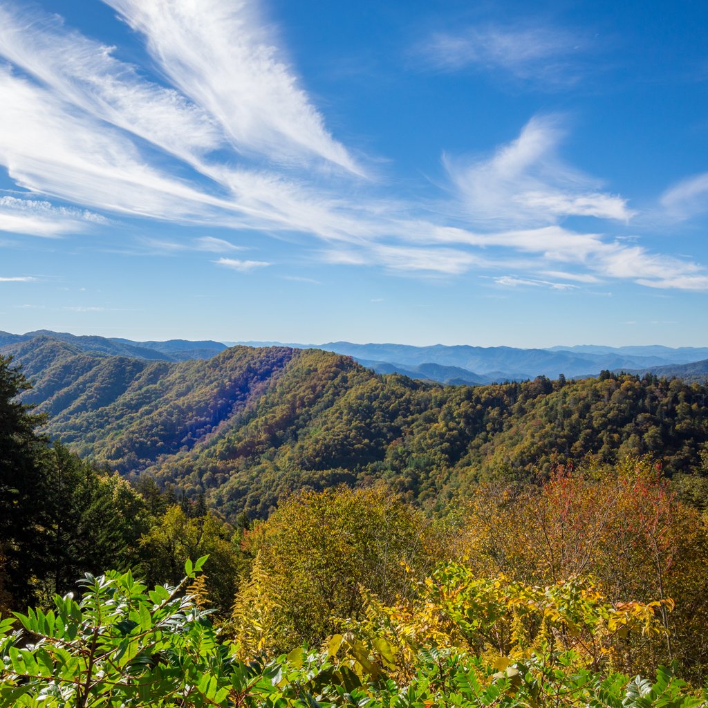 SmokyMountains.com tweet media