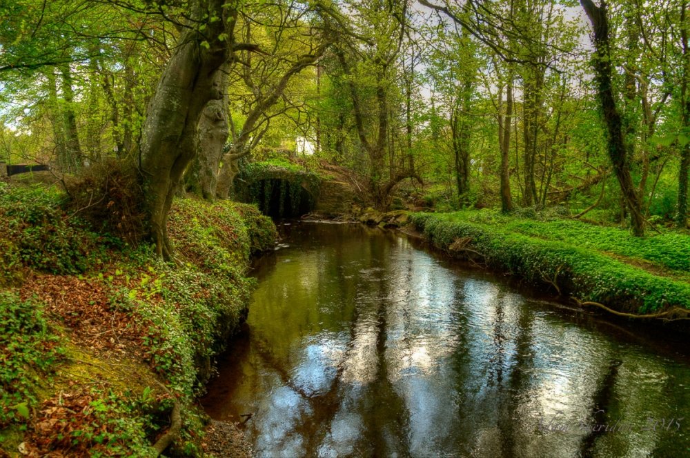 River Liffey at Yeomanstown, Naas, Co. Kildare - The liffey as it passes under a bridge near Yeomanstown Stud in
