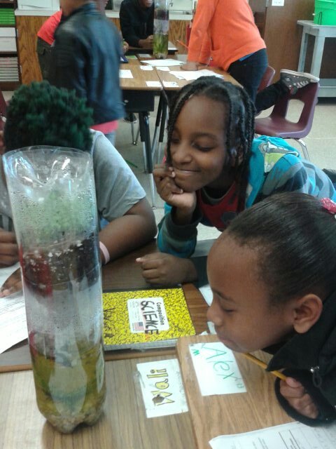 SciCoachOv's tweet photo. Mr. DeCook's Ss observing/classifying #Biotic & Abiotic factors in #EcoColumns #STCEcosystems @EastonElemWSFCS @SmithsonianScie 5.L.2.3 https://t.co/y5DlW78qZP