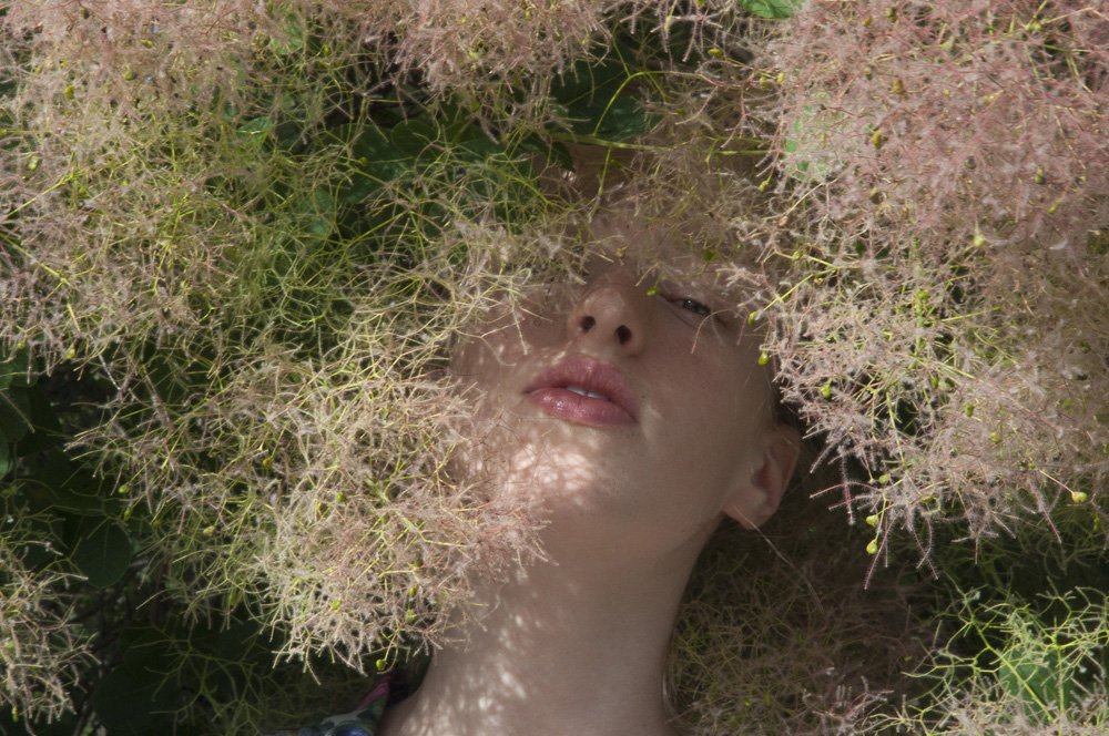 IRISArtPlatform's tweet photo. Secret Garden by Photographer Cristina Coral now featured on IRIS. View Online Gallery https://t.co/rBBrL3Ilsv https://t.co/ZUKQS5L6Bk