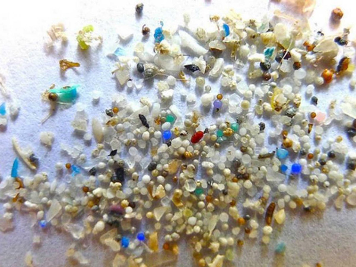 CWF_FCF's tweet photo. .@IJCsharedwaters recommends 4 ways to reduce #microplastic pollution in Canada: https://t.co/0vACzXq2AT #FindingPlastic https://t.co/k2qYW5qfcM