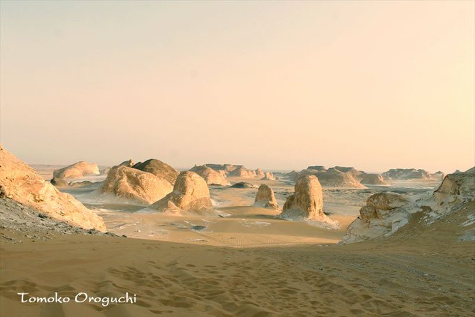 白砂漠のtwitterイラスト検索結果 古い順