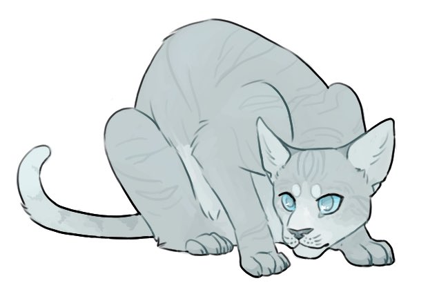Jayfeather (@blindjay) on Twitter photo 