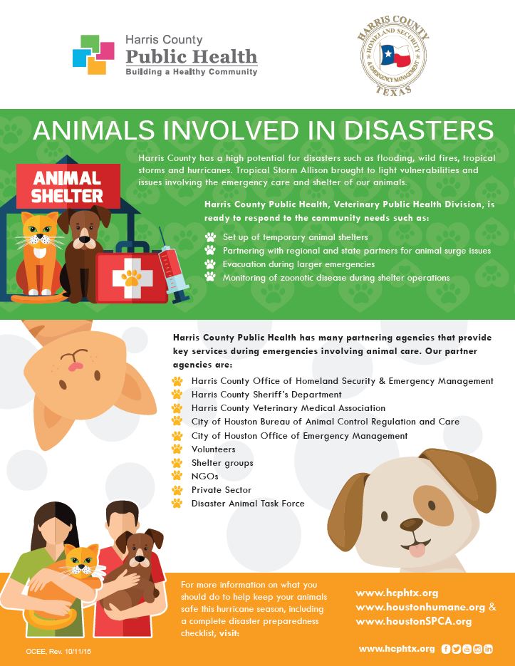 ReadyHarris's tweet photo. PET PREPAREDNESS: @hcphtx provides great tips on what you can do to make sure your pets are ready in the event of a disaster. #StayInformed https://t.co/ylKkAZ9VD8