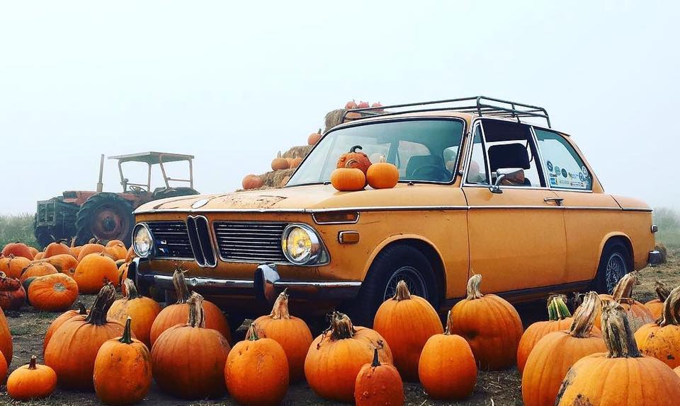 BMWmistress's tweet photo. Happy Halloween to all @BMW fans out there! #BMWfun https://t.co/hd2adltCqm