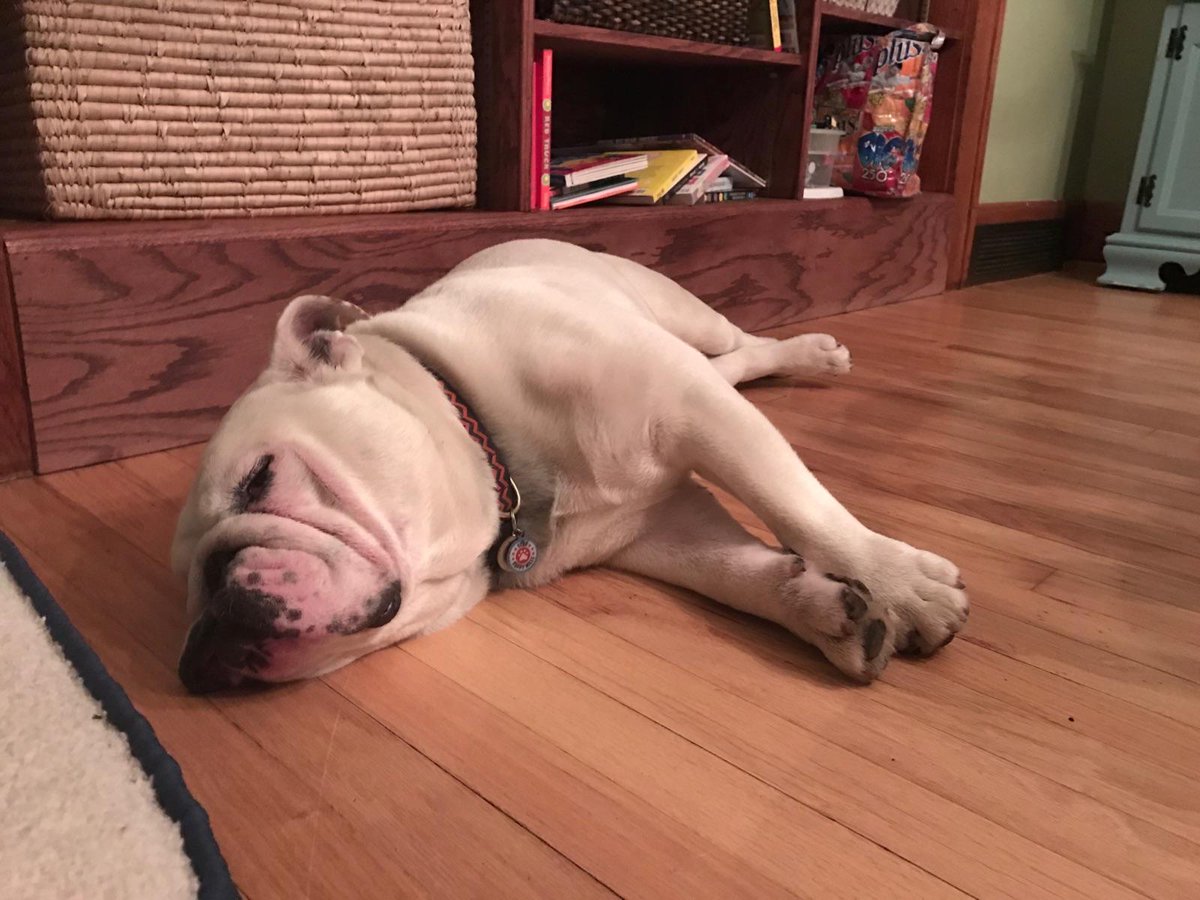 WTH. Since when did we do 6am walks? #never #andneveragain