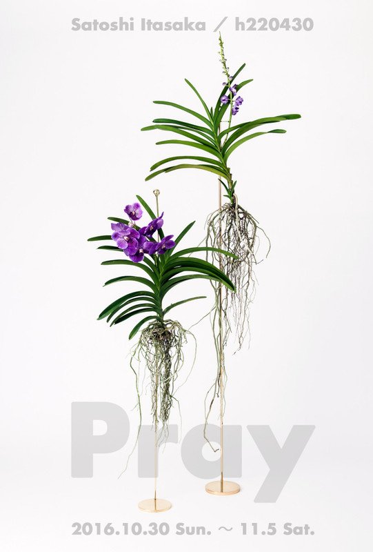 thedesignlabo's tweet photo. 今年は表参道にて新作を展示させて頂きます。お近くに来られることがあれば是非お立ち寄りください。
期間：10/30（日）- 11/5（土）
時間：12:00 - 19:00（最終日は17:00まで）会期中無休
会場：ギャルリーワッツ（港区南青山5-4-44 ラポール南青山103号） https://t.co/stgQ5Ntf6b