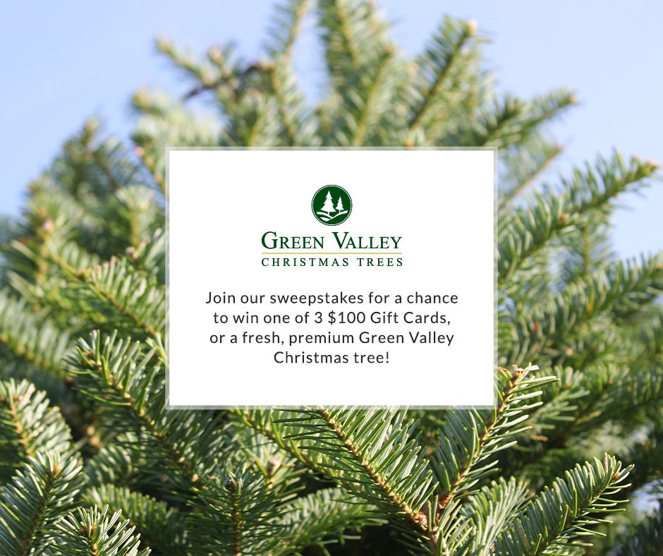 GreenValleyTree's tweet photo. Join #ichoosegreenvalley #sweepstakes for a chance to win a @greenvalleytree #Christmastree! https://t.co/DNdY5sVkQa https://t.co/QNQZTvU5aF