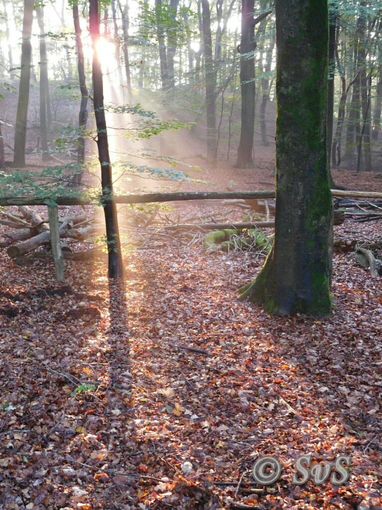 #Herfst op de #Veluwe. #Leuvenum #Staverden @BCStaverden <a href="/bezoekstaverden/">Bezoek Staverden</a> @gldLandschap <a href="/glk/">GLK&</a>  Een bezoekje zeker waard....