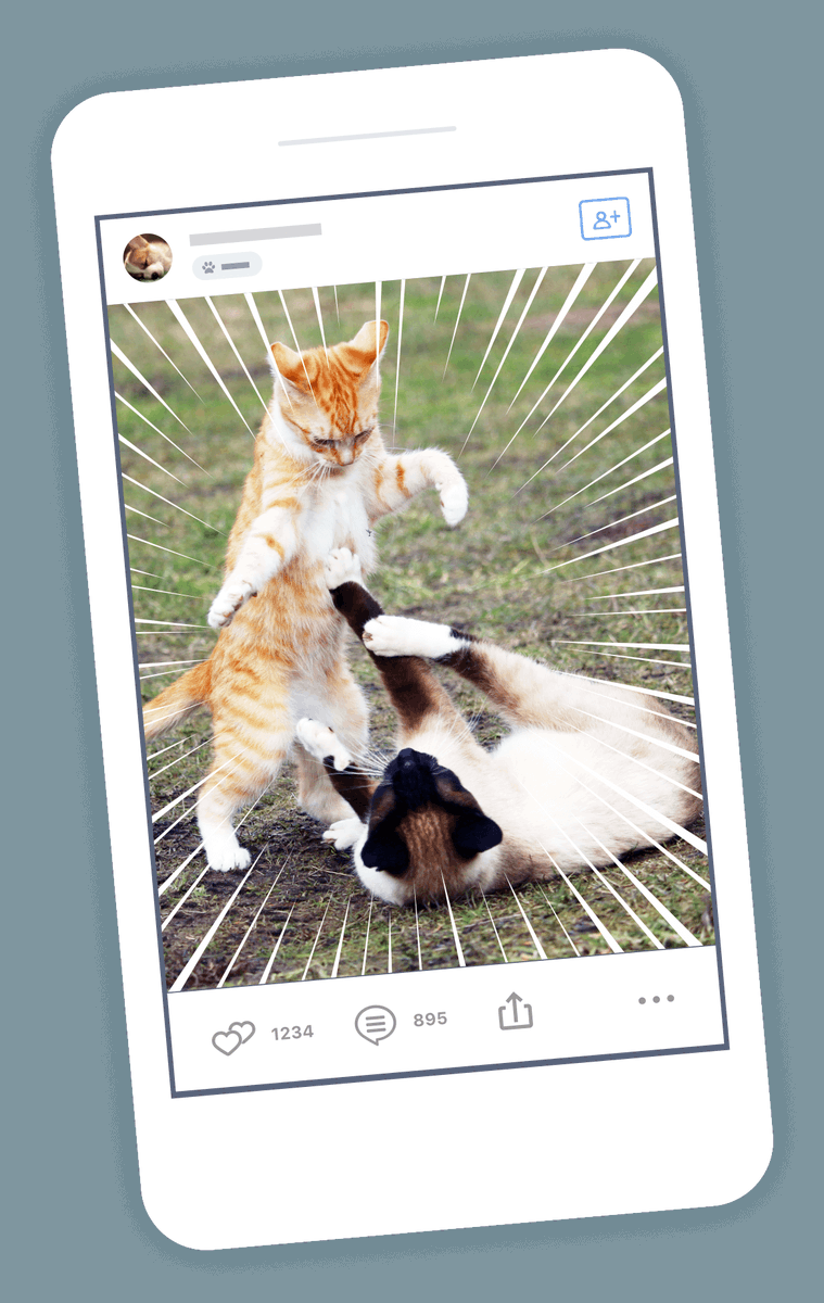 meet_startup's tweet photo. From Pet Videos to a Loyal Online Community: Pamily’s Secrets to Success @pamily_usa @mobiusbobs
>>> https://t.co/oekbqZHGq0 https://t.co/GICQJryxJN