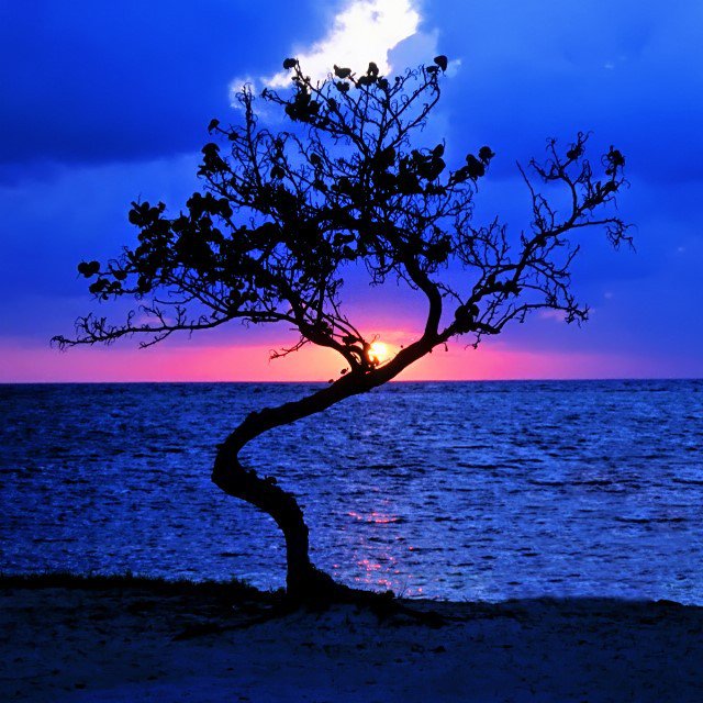 SatopiaTravel's tweet photo. #amazed by this #stunning #landscape #beautiful #sunset #thatview #Belize #pictureprefect #travellove #peaceofmind #TRLT #TakeMeThere https://t.co/MLF09XMJOg