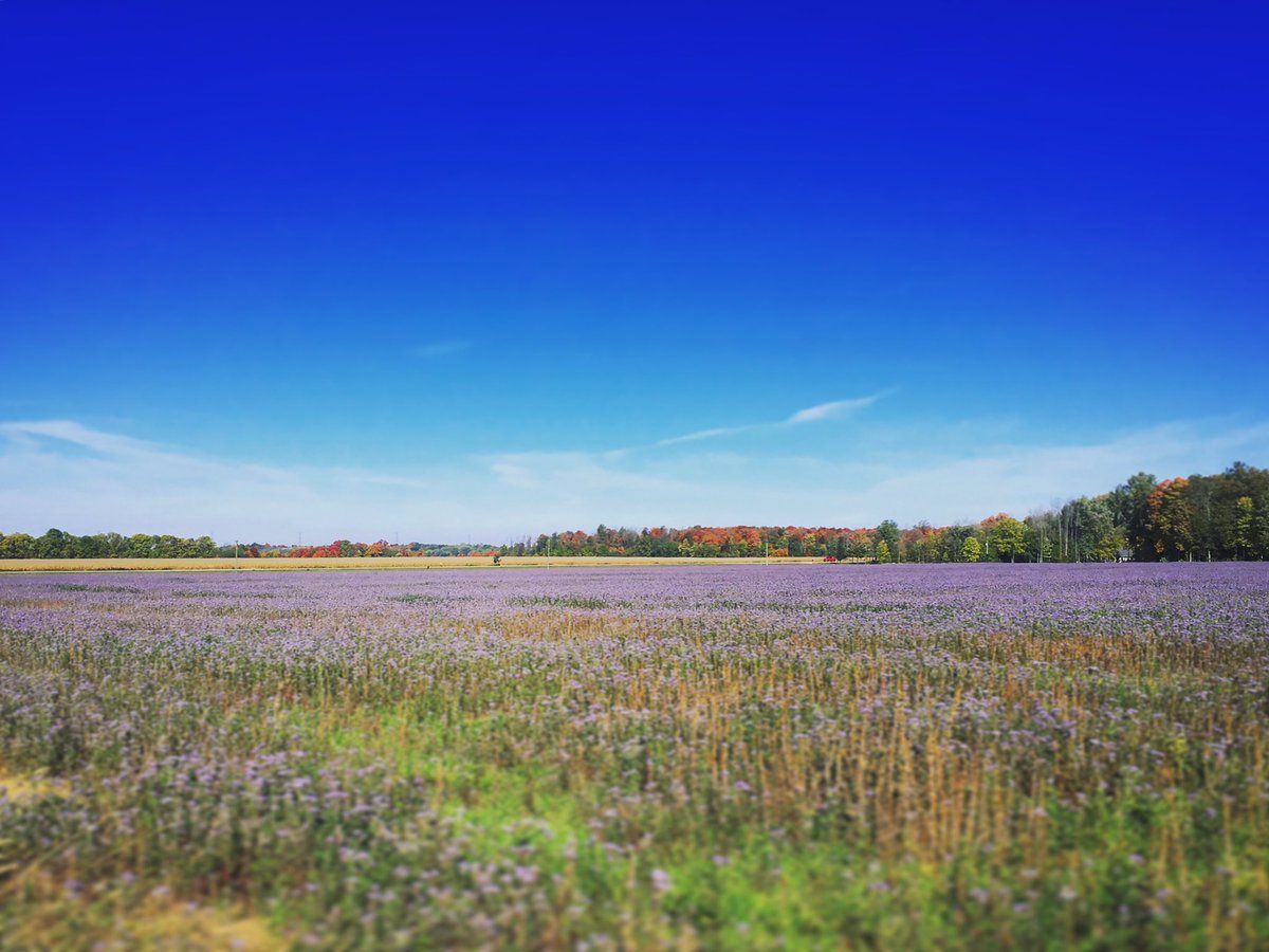 Patrick Verkley tweet media