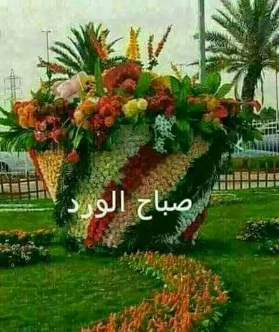 Assif91699426's tweet photo. @daram175 https://t.co/Foh8EFJkYp