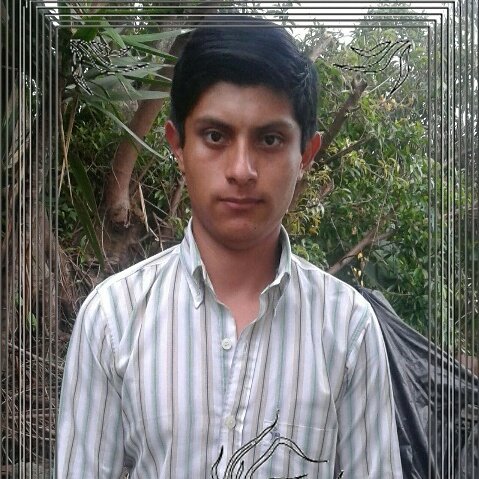 464dmcb tweet picture