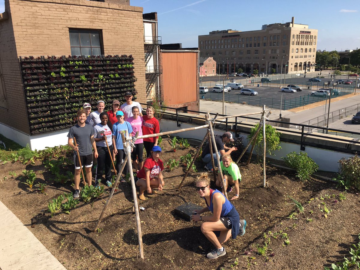 KMPebbles's tweet photo. @wustl_pt volunteering at Urban Gardens for #PTDOS https://t.co/ifhj42hPyO